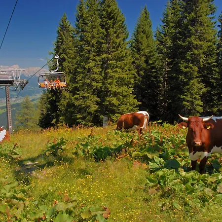 Daire Reitdorf-2 By Interhome *